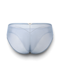 BSZN Sheer Contrast-Seam Brief — Blue back product view.
