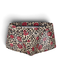 BSZN Wild Kiss Open-Back Trunk — Brown leopard front product view.