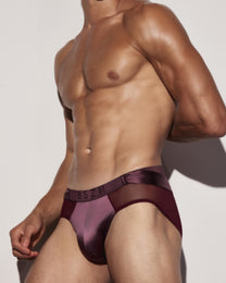 BSZN Satin Scarf Mesh Brief — Purple front on model.