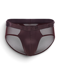 BSZN Satin Scarf Mesh Brief — Purple front product view.