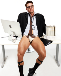 Bull Graphic Brief - product view 5