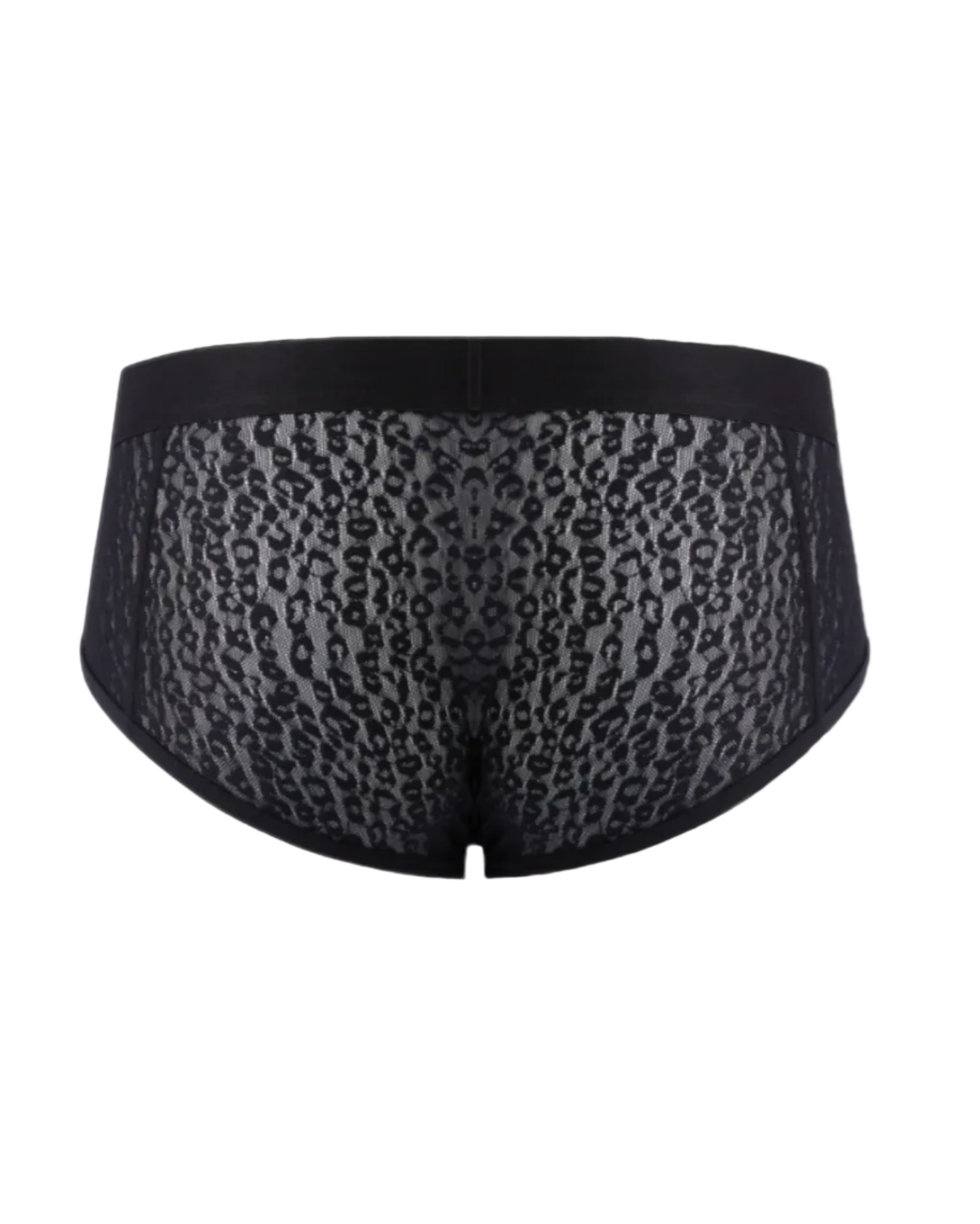 BSZN Sheer Leopard Mesh Brief in black, product rear view