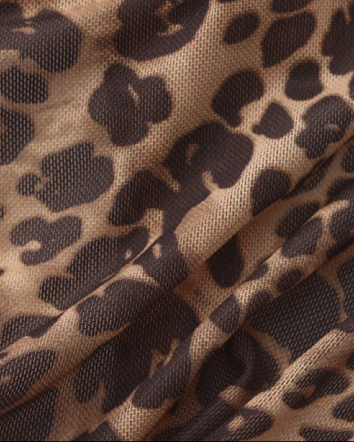 Animal-Print Cutout Mesh Thong