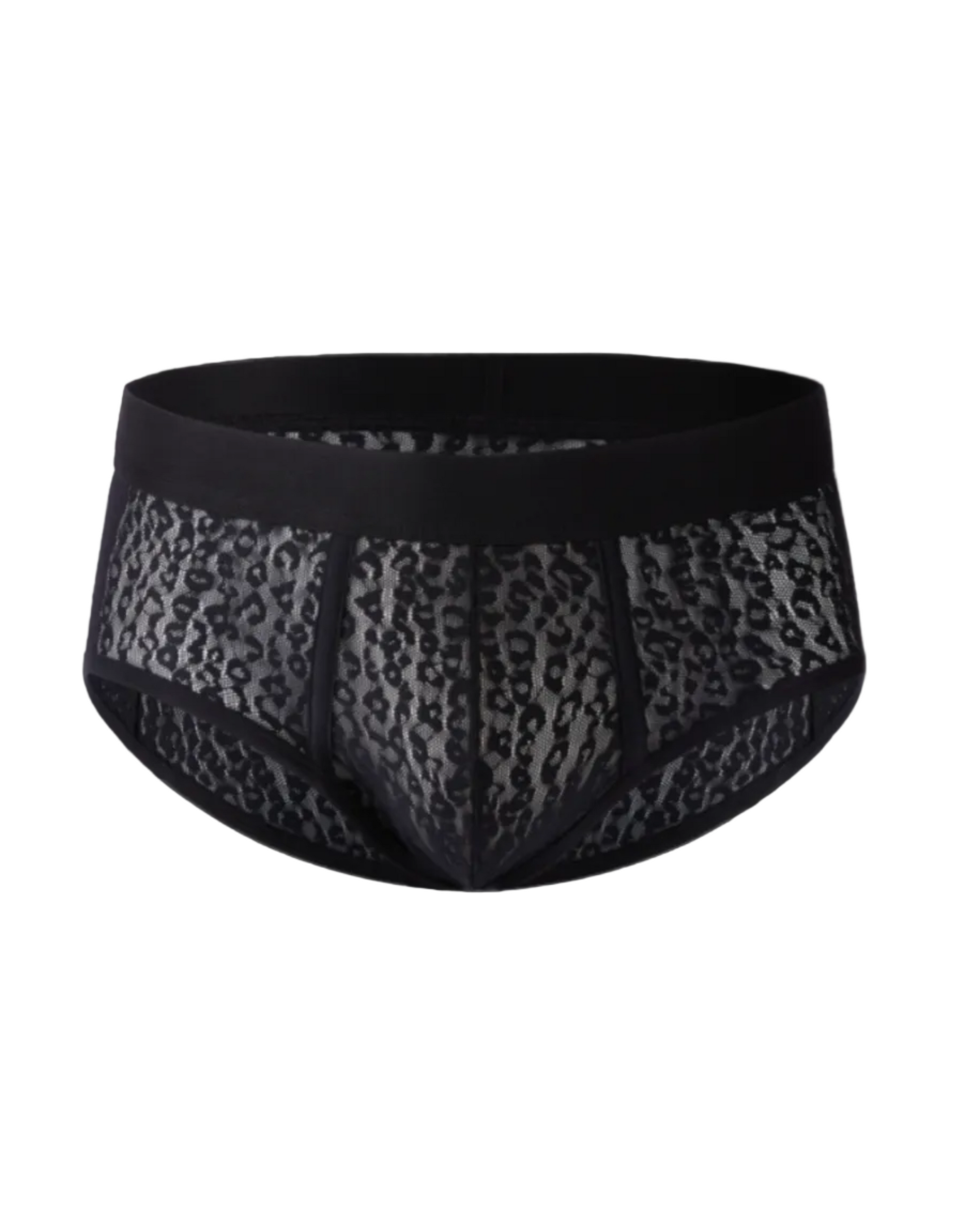 BSZN Sheer Leopard Mesh Brief in black, product front view