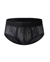 BSZN Sheer Leopard Mesh Brief in black, product front view
