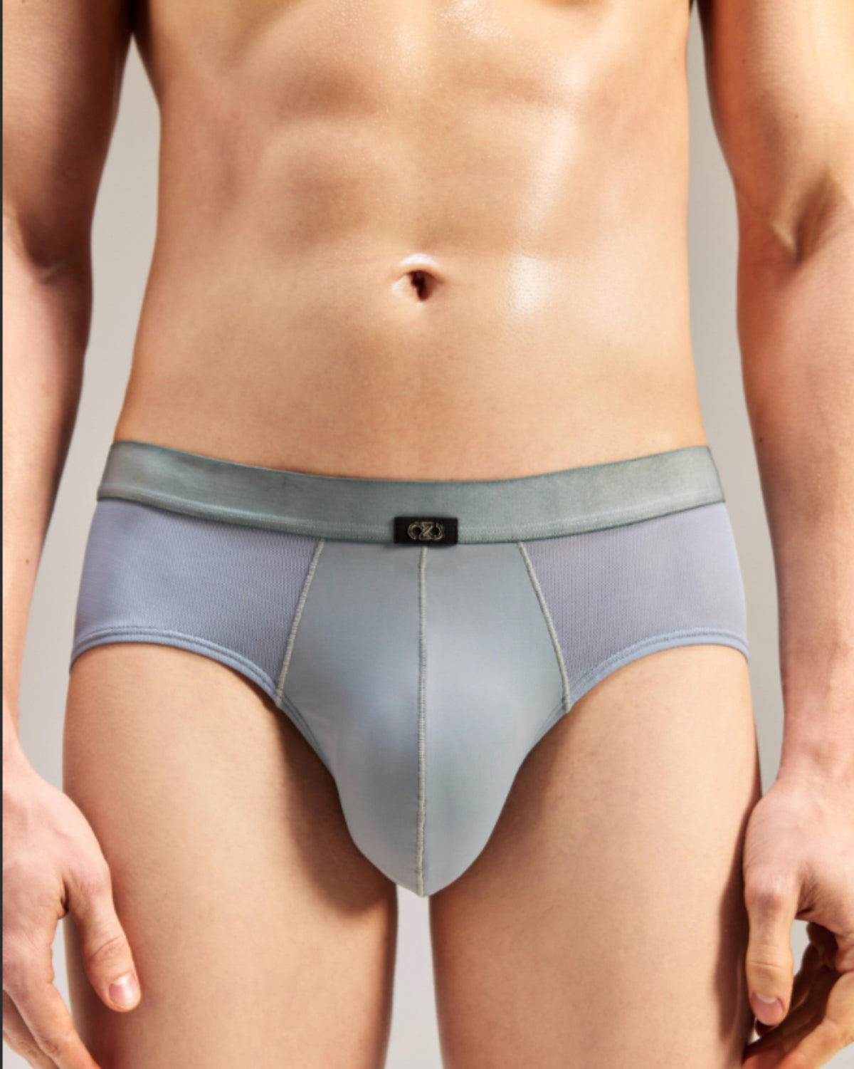 V-Cut Mesh Brief