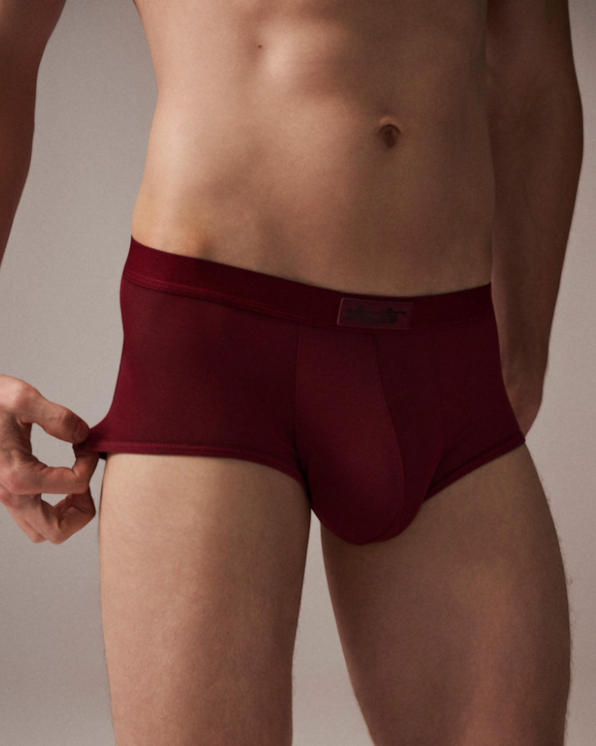 Good Fortune Sheer Mesh Trunk